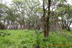 Ledson1_East_DSCN1235_sm