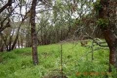 Ledson1_North_DSCN1234_sm