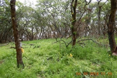 Ledson1_Overview__sm