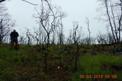 Shultz1_East_DSCN1270_sm