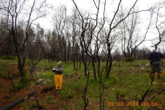 Shultz1_North_DSCN1269_sm