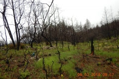 Shultz1_South_DSCN1271_sm