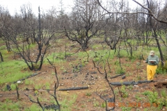 Shultz1_West_DSCN1272_sm