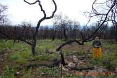 Shultz2_East_DSCN1281_sm