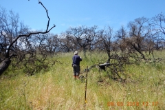 Shultz3_West_DSCN1292_sm