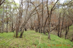 Hillside1_East_DSCN1198_sm