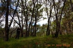 Hillside1_North_DSCN1197_sm