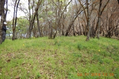 Hillside1_Overview_DSCN1201_sm