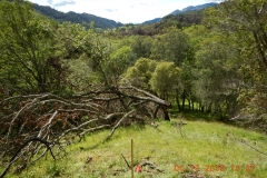 Hillside2_West_DSCN1206_sm